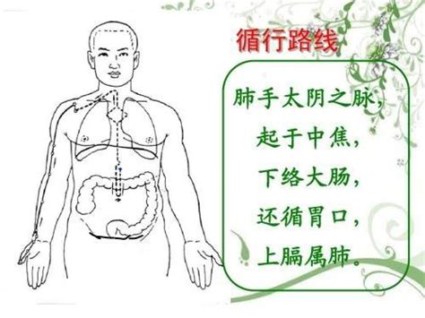 七沖門|中醫小貼士：難經「七沖門」的概念與生理病理